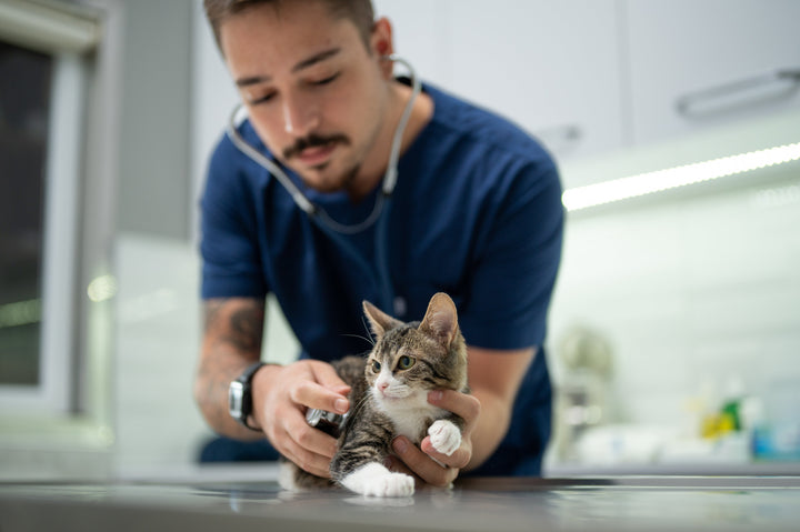 What Quality and Safety Mean to Veterinarian Recommended Solutions®