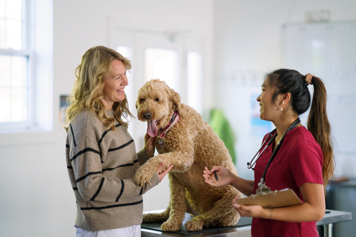 7 Frequently Asked Questions on Skin and Coat Health