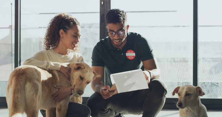 Thinking About Adopting Another Pet? Tips for Finding the Right Match