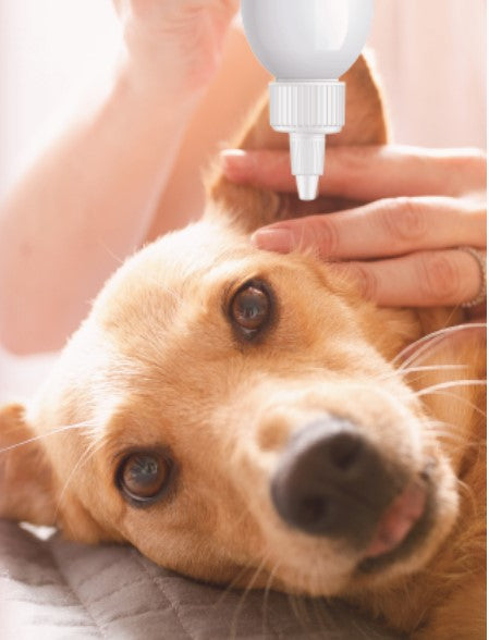 Directions for Use SolaceVet Alcohol-Free Ear Cleaner 8oz
