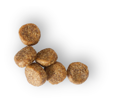 Adult Health-RSS Canine Bag