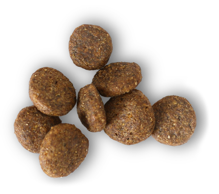 Growth/Sensitive-GI Canine Bag