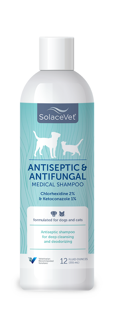 SolaceVet Antiseptic & Antifungal Medical Shampoo 12oz