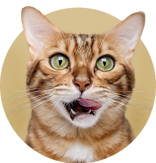 flo cat® - Veterinarian Recommended Solutions